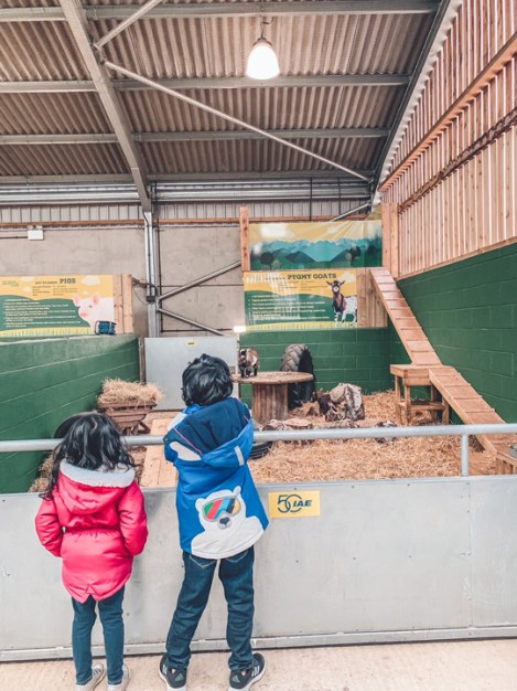 Chobham-Adventure-Farm-Surrey